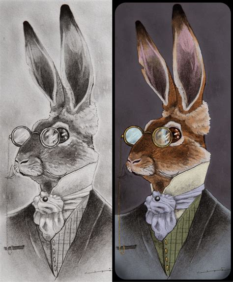 March Hare – Illustrations