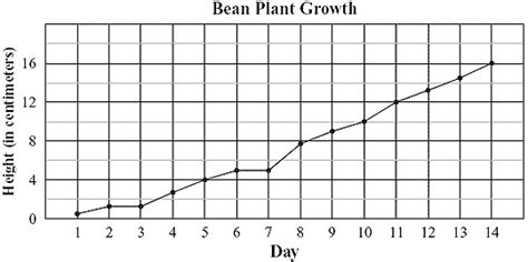 a bean plant growth chart - EdwinArrington1's blog