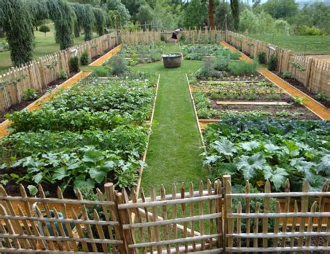 Vegetable Garden Layout Ideas for Any Size Backyard | Garden İdeas