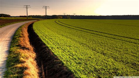 Rural Road wallpaper | 1920x1080 | #83786