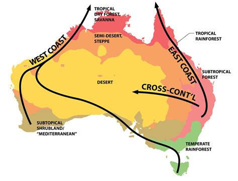 Temperate Rainforest Map