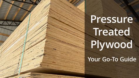 Pressure Treated Plywood: Your Go-To Guide for All You Need to Know ...