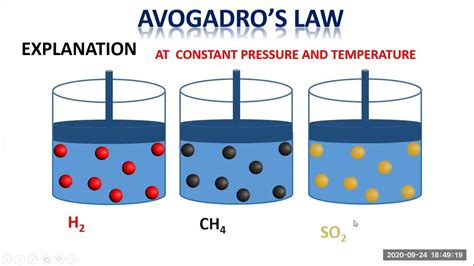 Avogadros law | Avogadro's law, Chemistry, Law