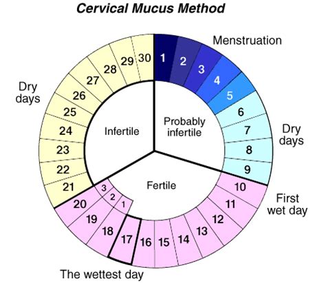 Fertility Awareness from Birth-Control-Comparison.info