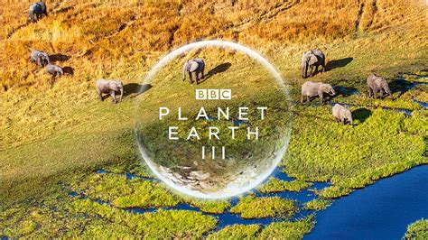 Сериал «Планета Земля III» / Planet Earth III (2022) — трейлеры, дата выхода | КГ-Портал