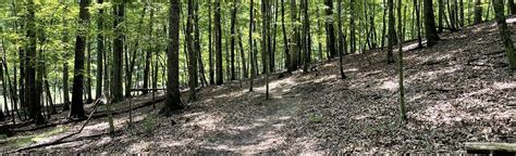 Bennett Springs Trail Loop: 32 Reviews, Map - Virginia | AllTrails