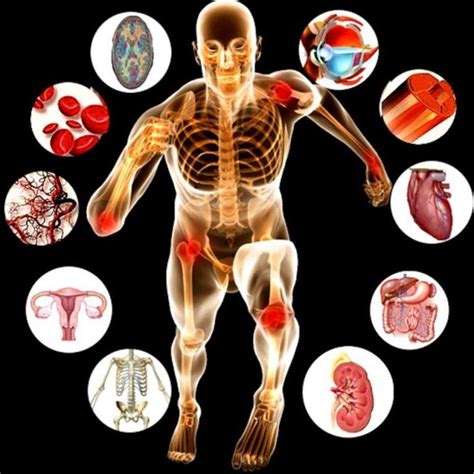 Online Anatomy and Physiology Theory L3/L4 | The Online Beauty Courses