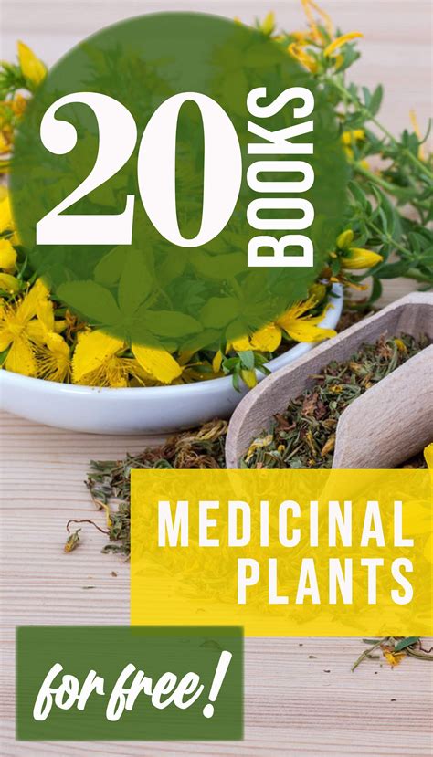 +20 Free Medicinal Plants Books [PDF] in 2022 | Medicinal plants, Plant ...