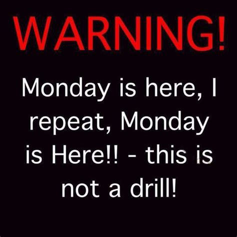 Funny Quotes in 2020: Funny Sayings About Monday