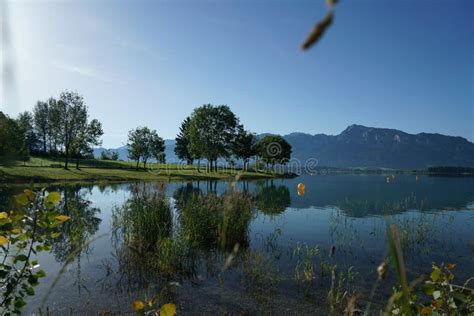 Neuschwanstein Castle And Forggensee Stock Image - Image of hill, castle: 15964683