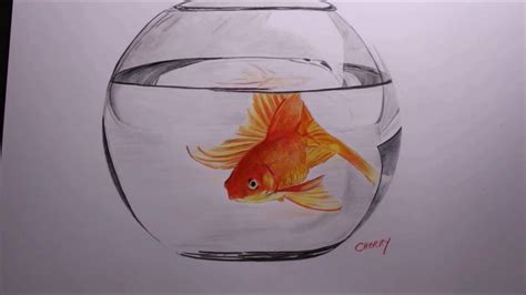 Goldfish in a bowl pencil drawing time lapse - YouTube