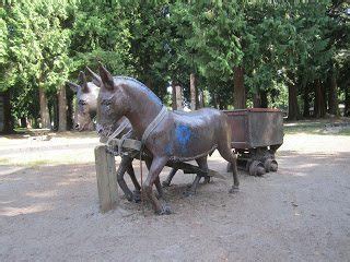 Coquitlam Parks – Let's Go Biking!