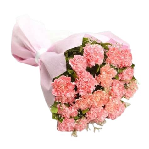 Pink Carnation Bouquet – Mister Baker