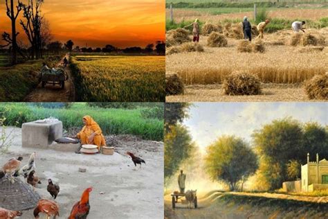 Explore the Beauty and Diversity of Village Life in Pakistan - Dareecha