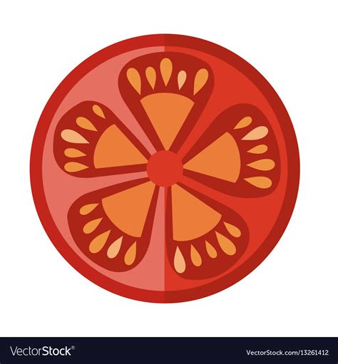 Round tomato slice isolated editable element Vector Image