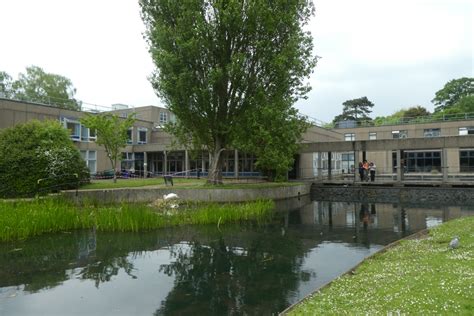 Swan nesting near Derwent © DS Pugh cc-by-sa/2.0 :: Geograph Britain ...