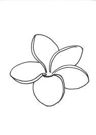 Image result for frangipani flower outline | flowers in 2018 ...