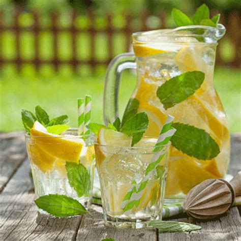 Lemon Mint Juice Recipe: How to Make Lemon Mint Juice