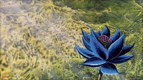 Black Lotus Wallpapers - Top Free Black Lotus Backgrounds - WallpaperAccess