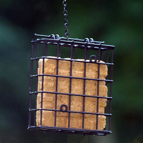 Standard Suet Cage Bird Feeder | DFOHome