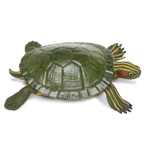 Safari Ltd Lifelike Red-Eared Slider Turtle Figure