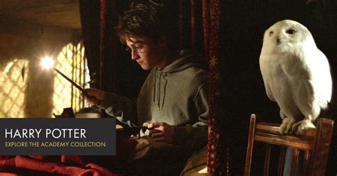 Harry Potter | Oscars.org | Academy of Motion Picture Arts and Sciences