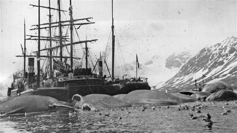 Whaling 19th Century