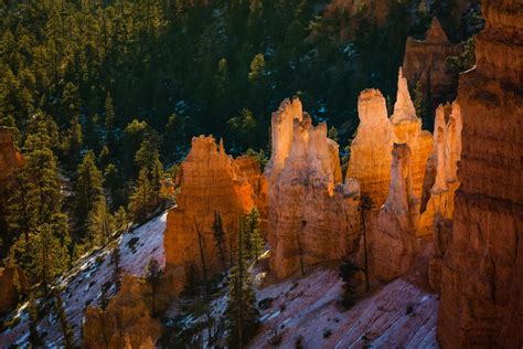 Glowing Hoodoos in Bryce Canyon National Park (OC)[5760x3840] : EarthPorn