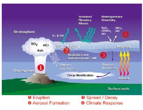 Schematic of the events and processes be- ginning with a volcanic... | Download Scientific Diagram