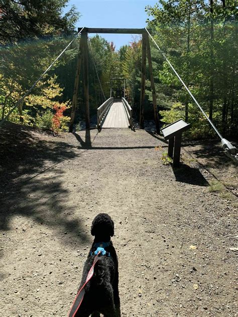 Photos of Franconia Falls Trail - New Hampshire | AllTrails