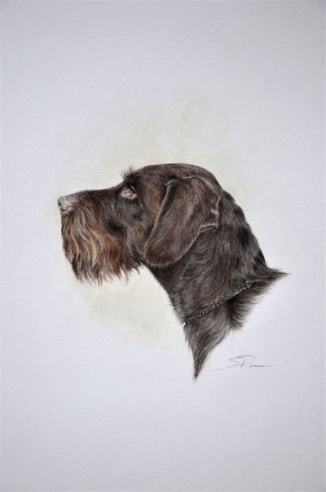 deutsch Drahthaar | Bird dog training, Hunting dogs, Dog paintings