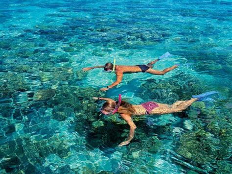 Snorkelling Green Island | Cairns Discovery Tours