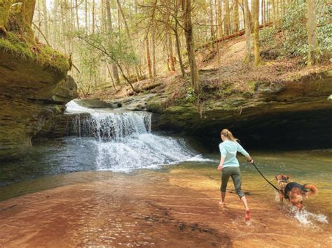 3 Red River Gorge Hiking Trails | Explorekywildlands.com