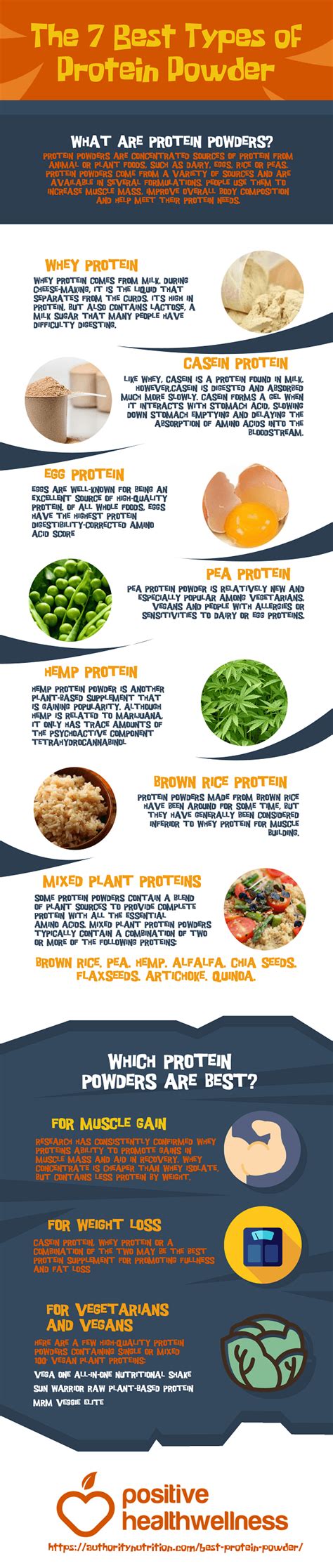 The 7 Best Types Of Protein Powder – Infographic