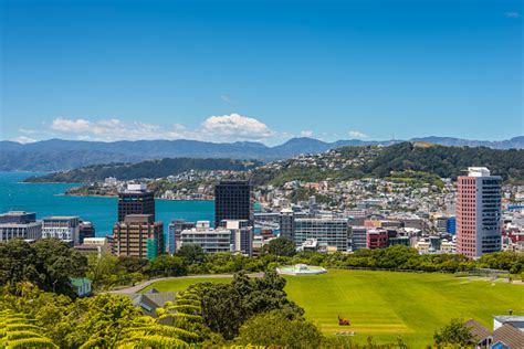 Wellington Skyline Stock Photo - Download Image Now - iStock