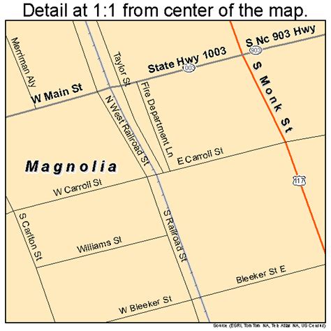 Magnolia North Carolina Street Map 3740640