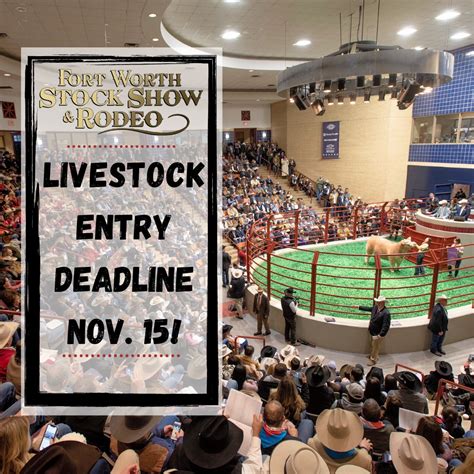 2020 Ft. Worth Stock Show Entries | DUE TODAY! | The Pulse