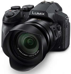 10 Best DSLR Cameras Under $500 for 2024