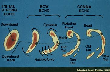 More About Bow Echoes: schematic radar view and observed events