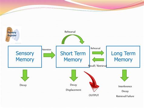 PPT - The Working Model of Memory PowerPoint Presentation, free download - ID:6665657