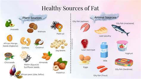 Dietary Fat: Functions, Requirements and Healthy Sources - Omisnutrition