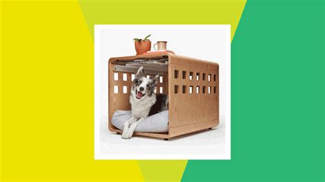 Unique Dog Crates | ppgbbe.intranet.biologia.ufrj.br