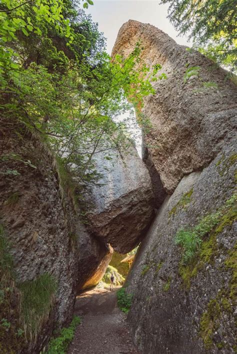 Hike up Mount Rigi on the Mark Twain Trail | tobinka