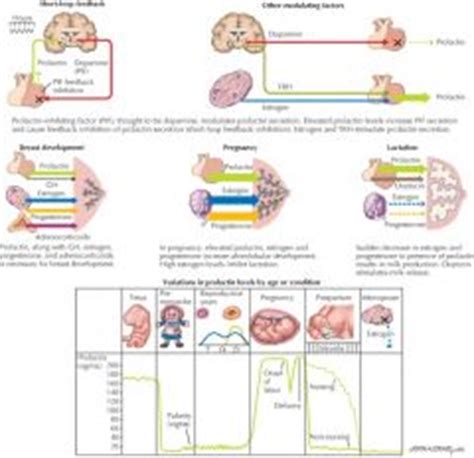 SDR part II set Flashcards - Cram.com