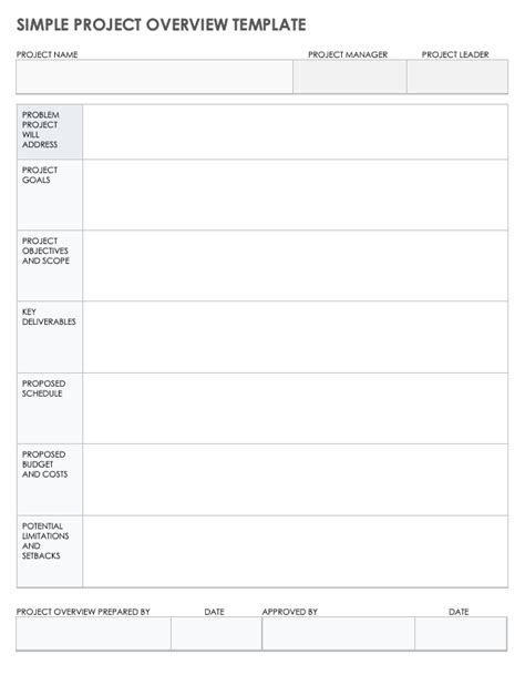 Project Overview Template