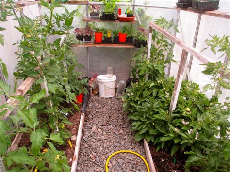 Greenhouse Gardening Benefits And Tips