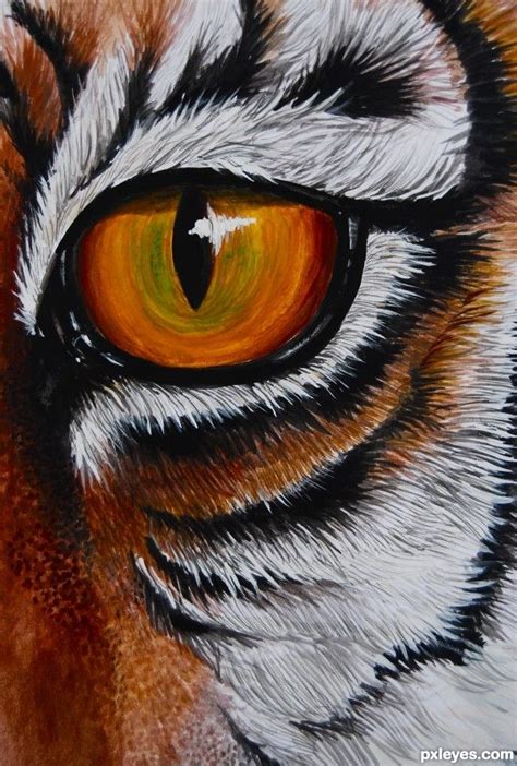 Drawing guide the making of the eye of the tiger – Artofit