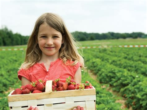 Charming PYO Fruit Farms Near London | Londonist