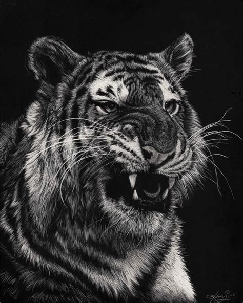 Beautiful Scratchboard Portraits of Animals by Allan Ace Adams (Every Line is a Scratch)