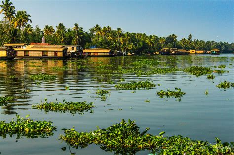 Sailing Through Kerala Backwaters on a Houseboat | Kerala backwaters ...